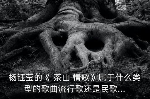 茶山情歌舞蹈慢动作教学,舞蹈茶山情歌分解教学解教学