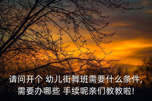 请问开个 幼儿街舞班需要什么条件,需要办哪些 手续呢亲们教教啦!