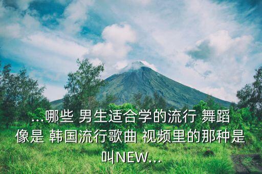 ...哪些 男生适合学的流行 舞蹈像是 韩国流行歌曲 视频里的那种是叫NEW...