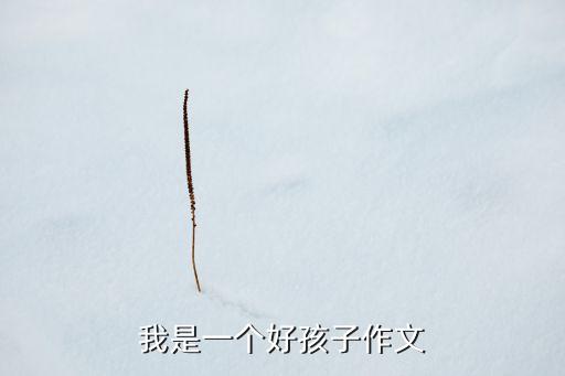 我是一个好孩子作文