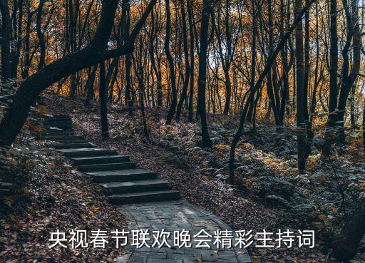 藤枝叶舞蹈视频
