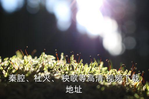 秦腔、社火、 秧歌等高清 视频下载地址