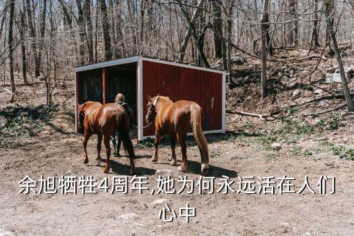 余旭牺牲4周年,她为何永远活在人们心中