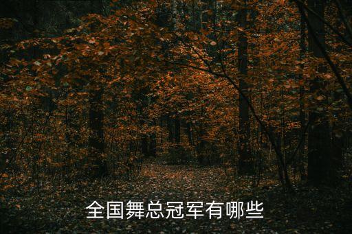 全国舞总冠军有哪些