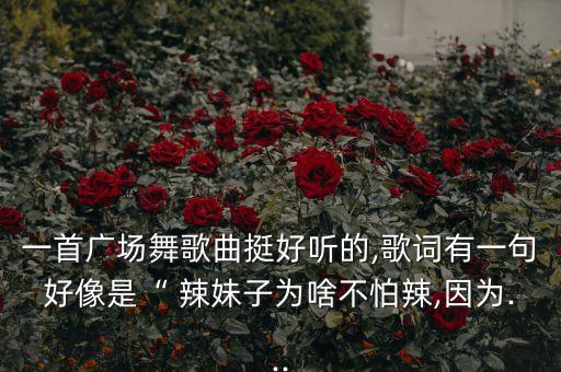 一首广场舞歌曲挺好听的,歌词有一句好像是“ 辣妹子为啥不怕辣,因为...