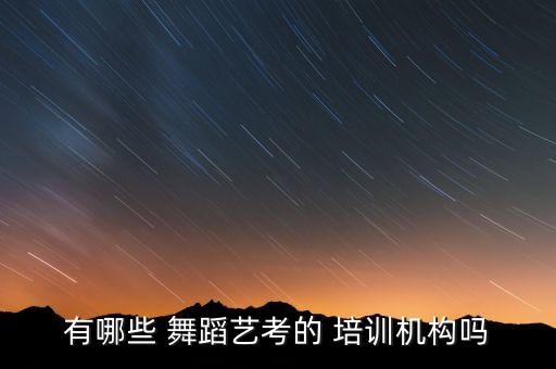 有哪些 舞蹈艺考的 培训机构吗