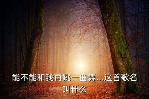 能不能和我再跳一曲舞...这首歌名叫什么