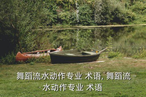  舞蹈流水动作专业 术语, 舞蹈流水动作专业 术语
