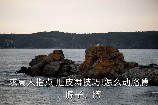 肚皮舞老师舞蹈教学视频,阿拉伯之夜肚皮舞舞蹈视频