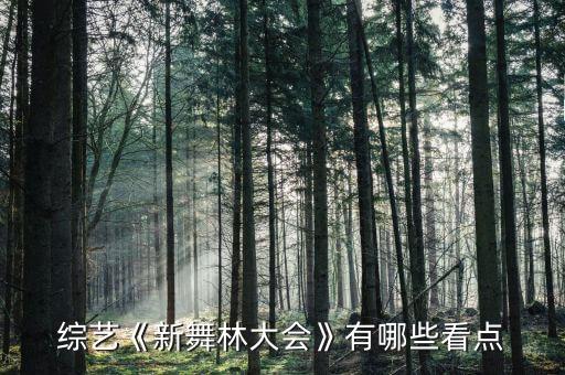 综艺《新舞林大会》有哪些看点