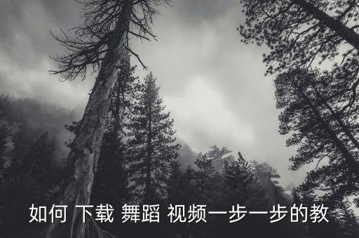 小孩子的舞蹈相关视频下载
