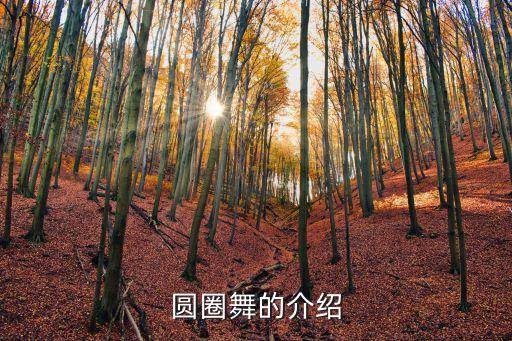 圆圈舞的介绍