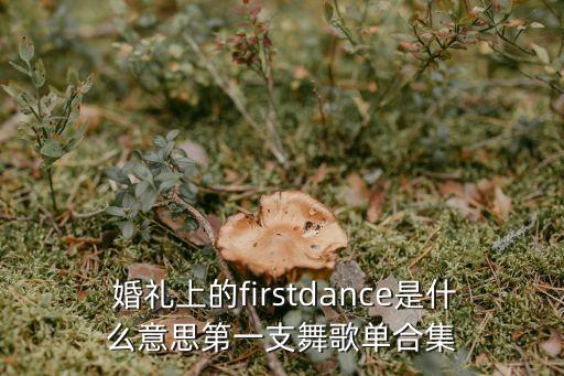  婚礼上的firstdance是什么意思第一支舞歌单合集