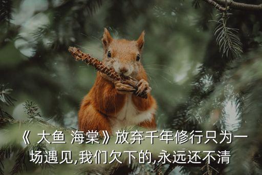《 大鱼 海棠》放弃千年修行只为一场遇见,我们欠下的,永远还不清