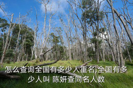 怎么查询全国有多少人重名,全国有多少人叫 陈妍查同名人数