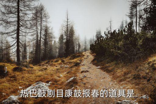 热巴鼓剧目康鼓报春的道具是