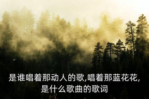 是谁唱着那动人的歌,唱着那蓝花花,是什么歌曲的歌词