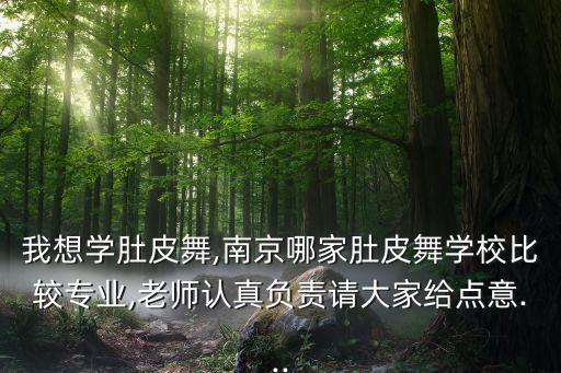我想学肚皮舞,南京哪家肚皮舞学校比较专业,老师认真负责请大家给点意...