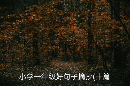小学一年级好句子摘抄(十篇