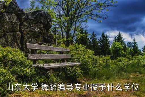 山东大学 舞蹈编导专业授予什么学位