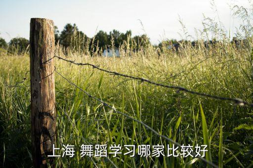 上海少儿培训舞蹈,附近少儿舞蹈班培训在哪里