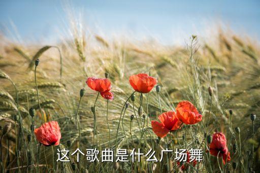 这个歌曲是什么广场舞
