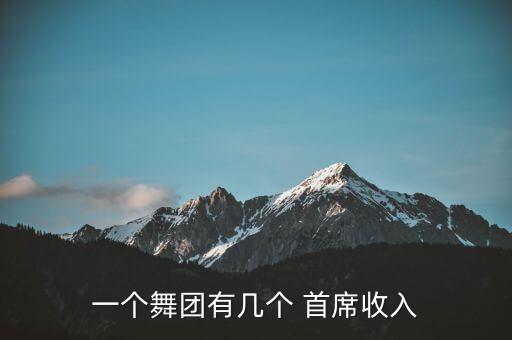 一个舞团有几个 首席收入
