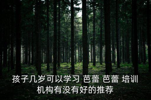 孩子几岁可以学习 芭蕾 芭蕾 培训机构有没有好的推荐
