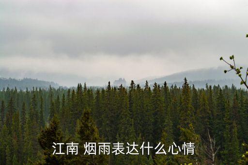 舞蹈烟雨断桥解析