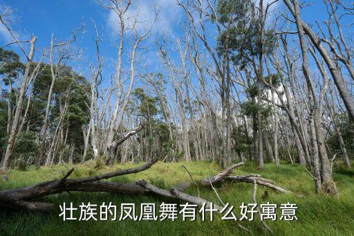 壮族舞蹈作品,壮族代表性舞蹈