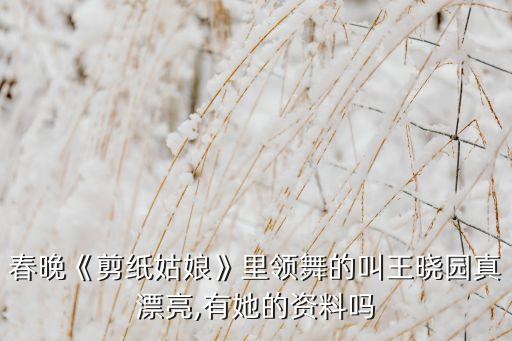 春晚《剪纸姑娘》里领舞的叫王晓园真漂亮,有她的资料吗