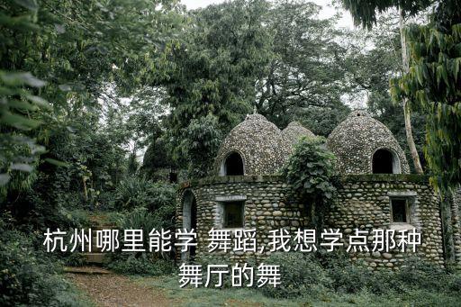  杭州哪里能学 舞蹈,我想学点那种舞厅的舞