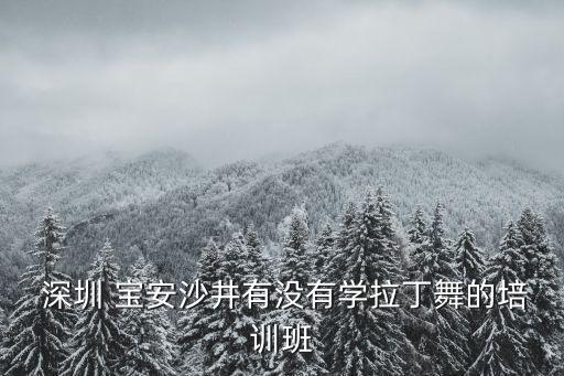  深圳 宝安沙井有没有学拉丁舞的培训班