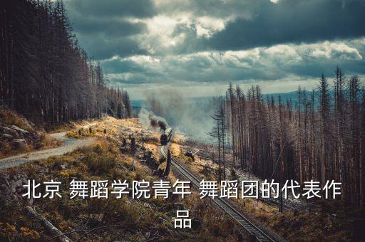 北京 舞蹈学院青年 舞蹈团的代表作品