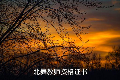 北舞考级舞蹈第三级,北舞八级考级舞蹈视频全部