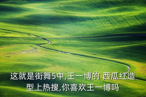 舞蹈西瓜,中国民族民间舞蹈西瓜