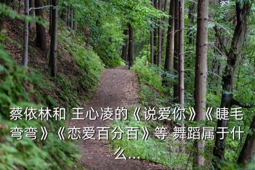 蔡依林和 王心凌的《说爱你》《睫毛弯弯》《恋爱百分百》等 舞蹈属于什么...