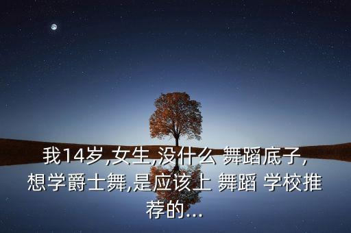 我14岁,女生,没什么 舞蹈底子,想学爵士舞,是应该上 舞蹈 学校推荐的...