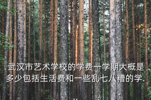 舞蹈一年多少钱武汉,舞蹈学校一年学费多少钱