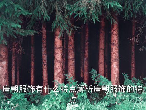 交易舞蹈服装