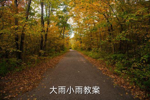 大雨小雨教案