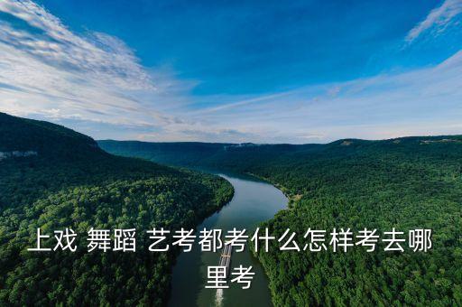 2016南艺舞蹈艺考,南艺舞蹈小艺考好考吗