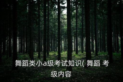  舞蹈类小a级考试知识( 舞蹈 考级内容