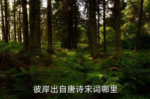 彼岸舞蹈完整