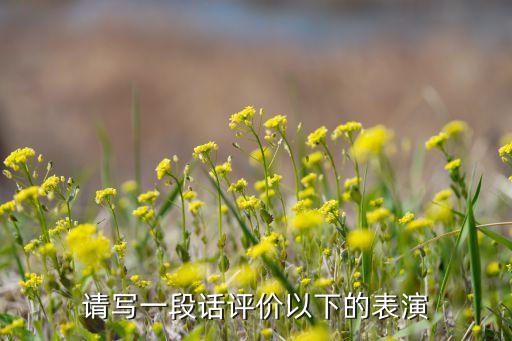 请写一段话评价以下的表演