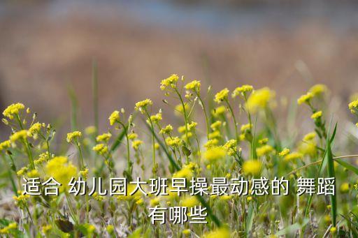 适合 幼儿园大班早操最动感的 舞蹈有哪些