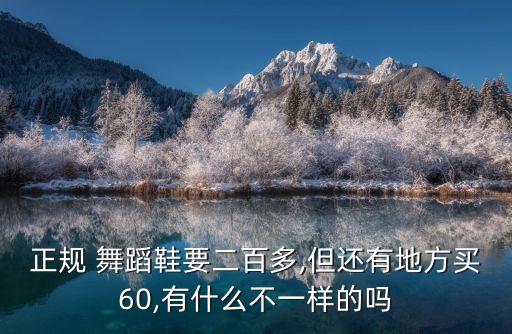 正规 舞蹈鞋要二百多,但还有地方买60,有什么不一样的吗