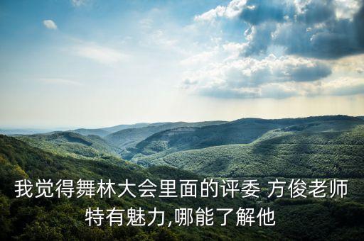我觉得舞林大会里面的评委 方俊老师特有魅力,哪能了解他