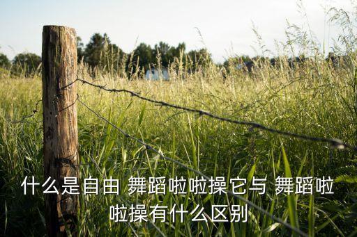 什么是自由 舞蹈啦啦操它与 舞蹈啦啦操有什么区别