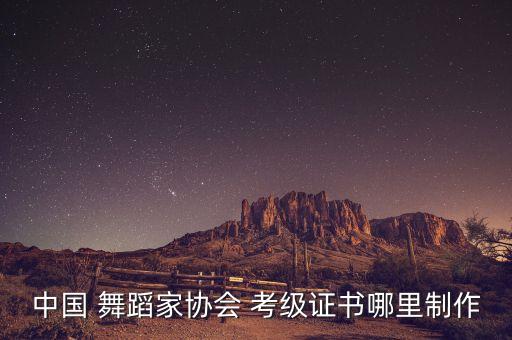 舞蹈考级办联系方式,舞蹈一级考级舞蹈视频大全